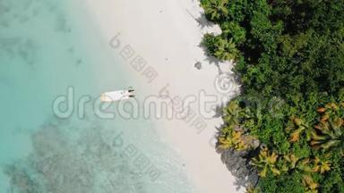 空中无人机4k鸟眼镜头，带椰子树的热带天堂海滩的圆圈运动和孤独的游客